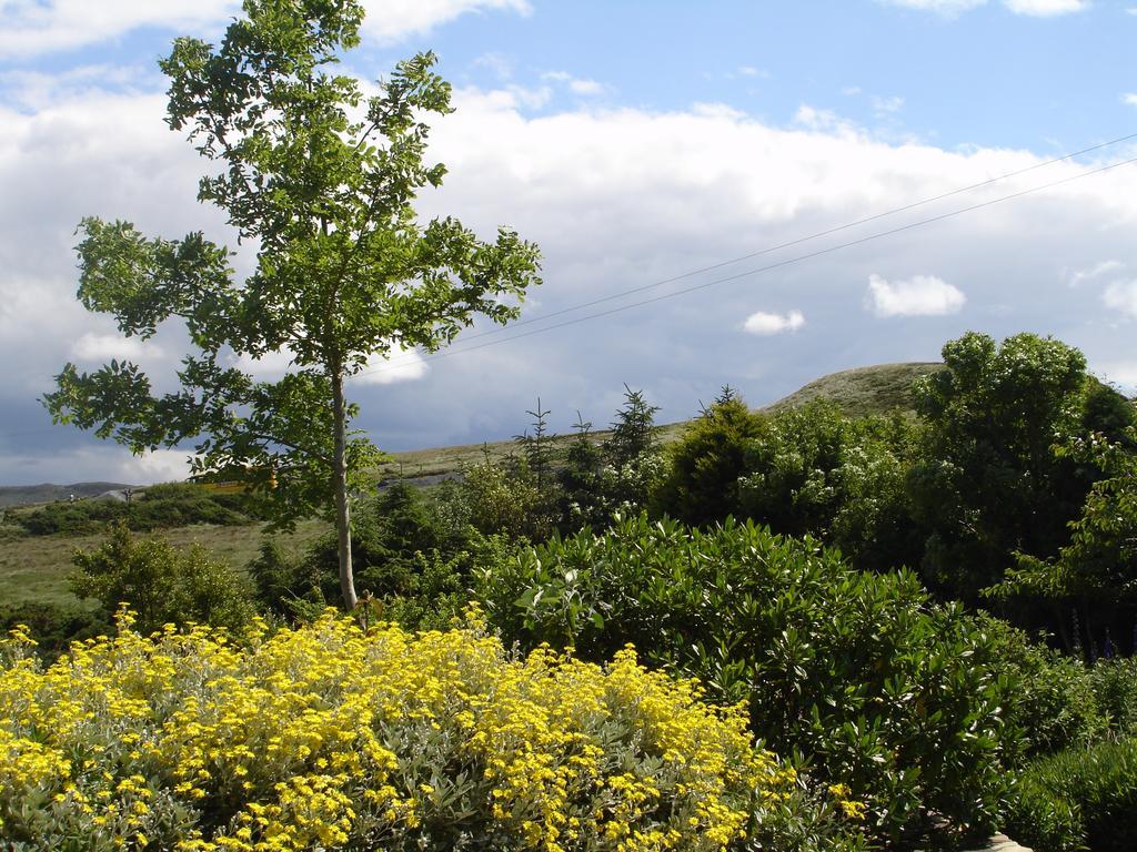 Ben Breen House B&B Clifden Exterior foto